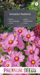 Cosmos Sensation Radiance Seeds